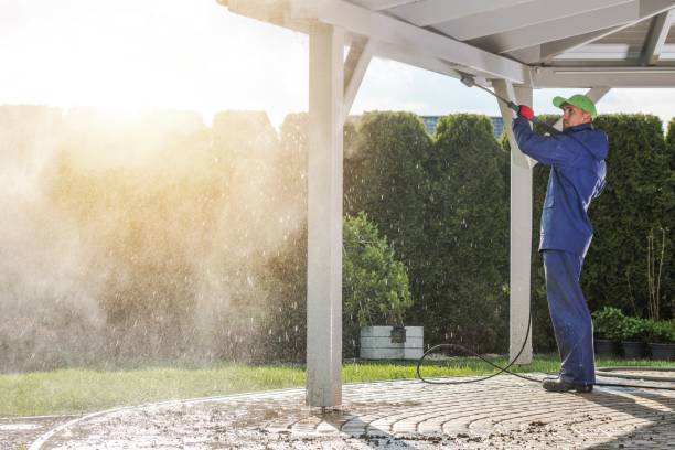 Best Driveway Pressure Washing  in River Falls, WI